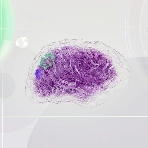 pexels-googledeepmind-17483868 (1) Deep AI brain